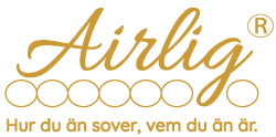 airlig header logo